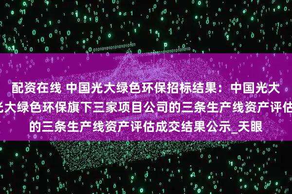 配资在线 中国光大绿色环保招标结果：中国光大绿色环保有限公司光大绿色环保旗下三家项目公司的三条生产线资产评估成交结果公示_天眼