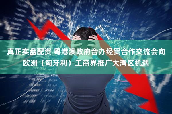 真正实盘配资 粤港澳政府合办经贸合作交流会向欧洲（匈牙利）工商界推广大湾区机遇