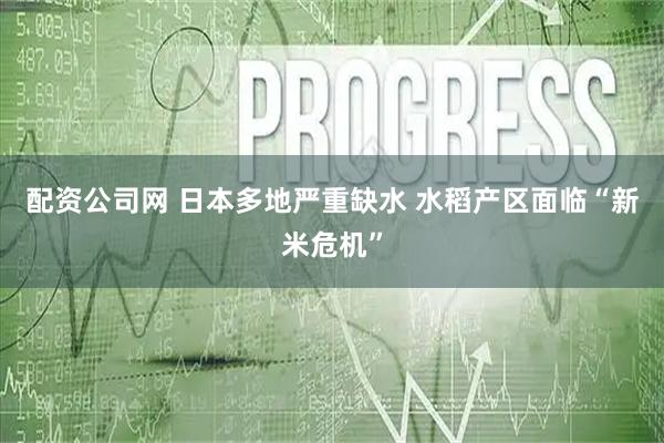 配资公司网 日本多地严重缺水 水稻产区面临“新米危机”