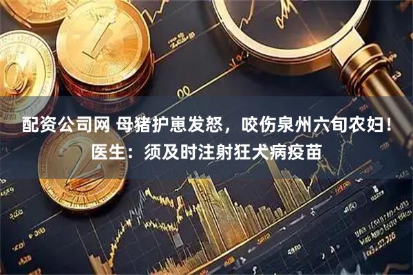 配资公司网 母猪护崽发怒，咬伤泉州六旬农妇！医生：须及时注射狂犬病疫苗